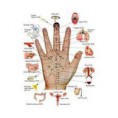 /album/galeria-de-fotos-medicina-tradicional-chinesa/os%20pontos%20de%20diagnosticos%20das%20m%c3%a3os-jpg1/